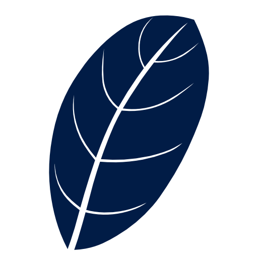 CivitasX